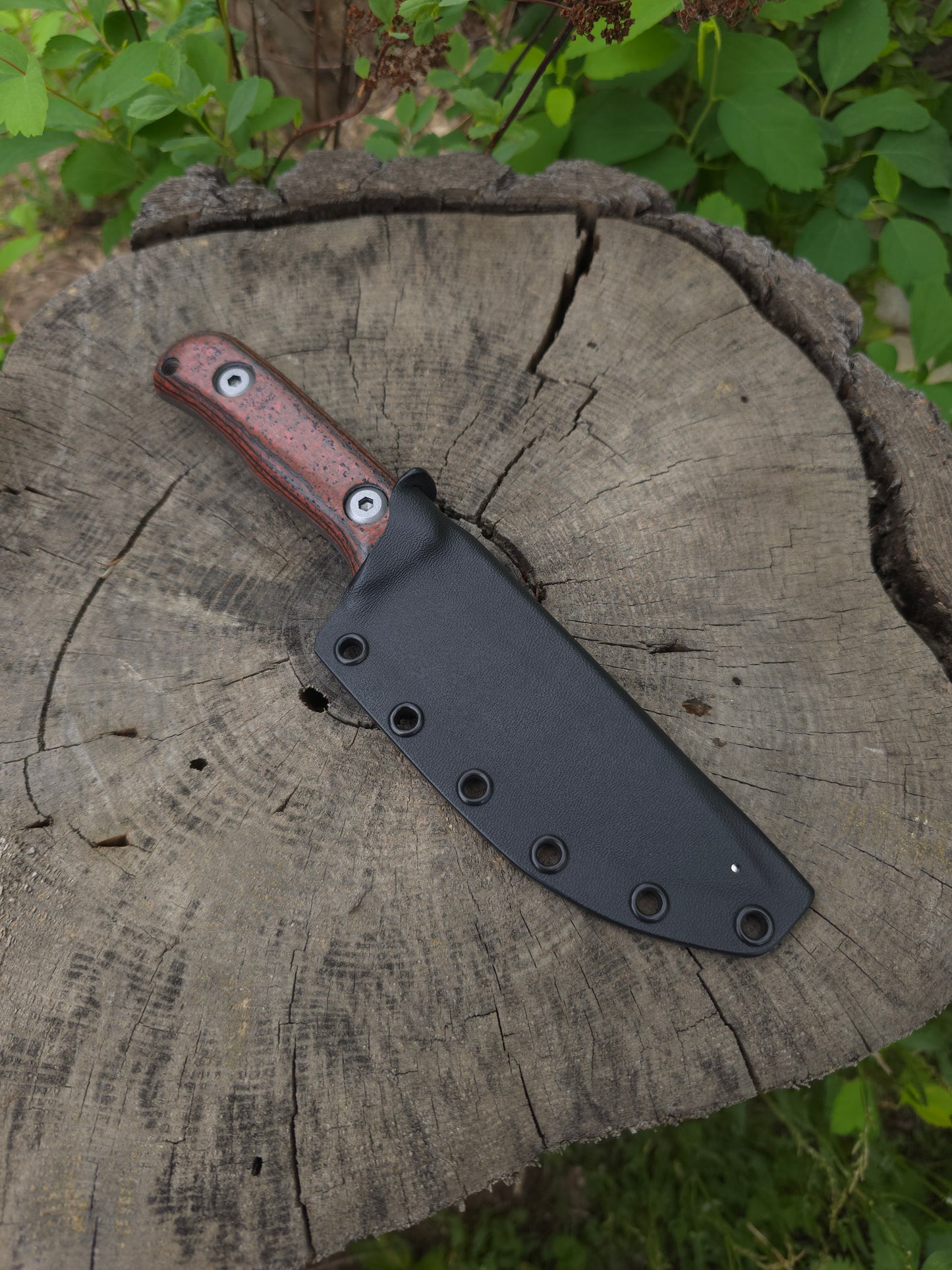 Adventure Knife