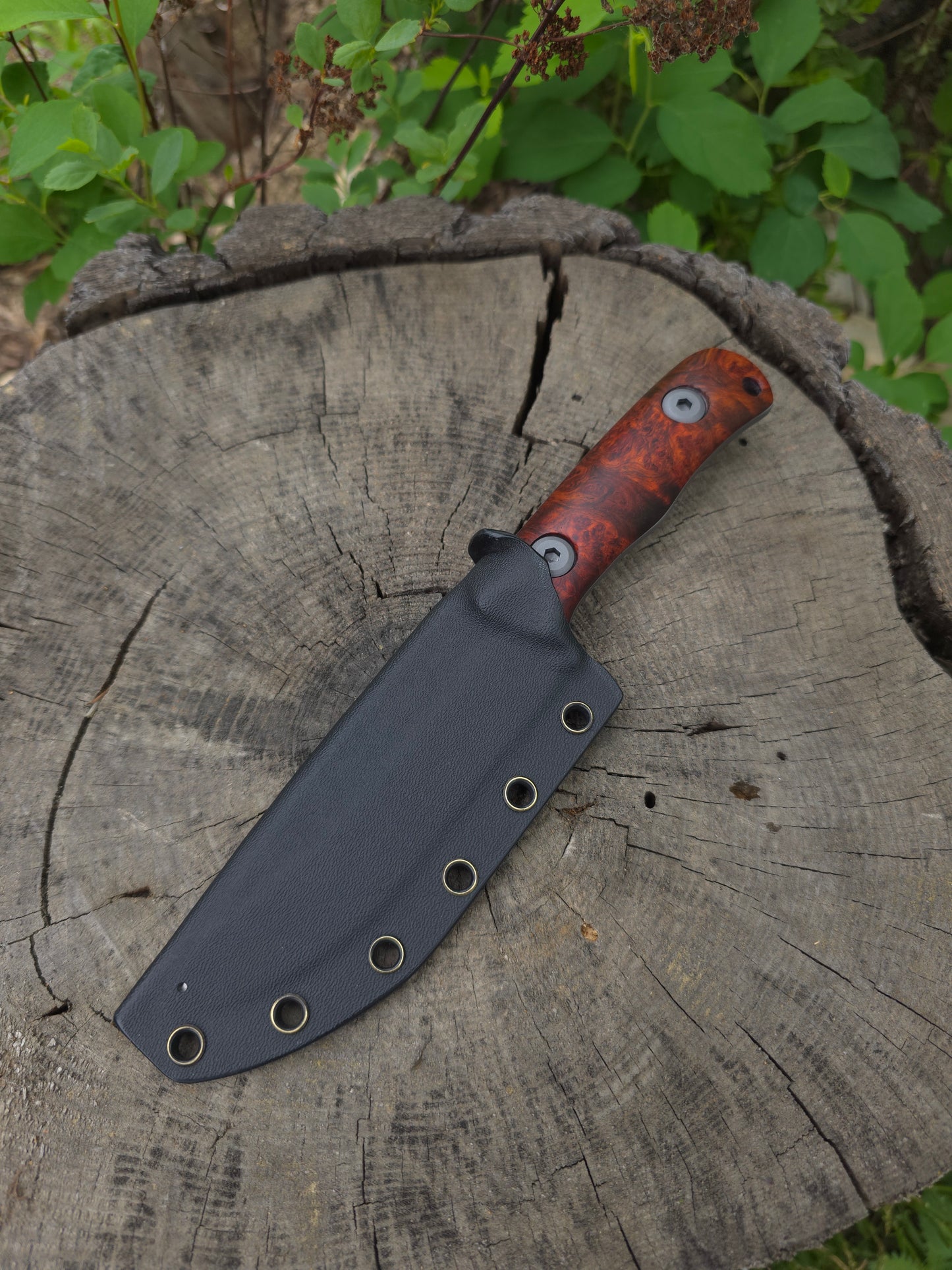 Adventure Knife