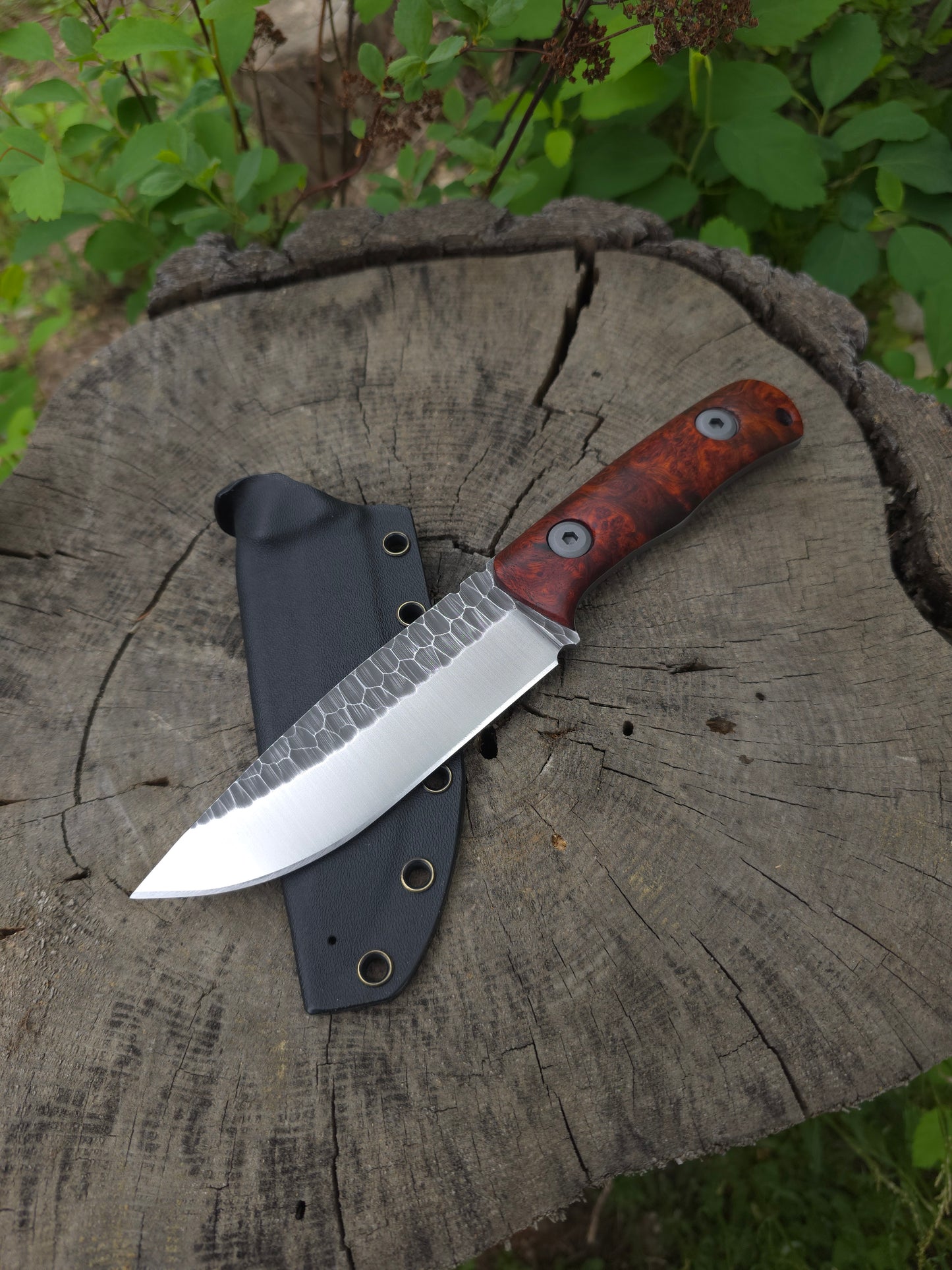 Adventure Knife
